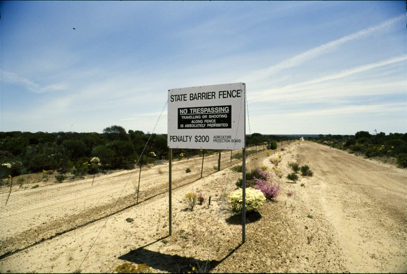 Frank Hahn National Park_fence Rabbit.jpg