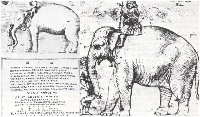 leo10-elephant.jpg