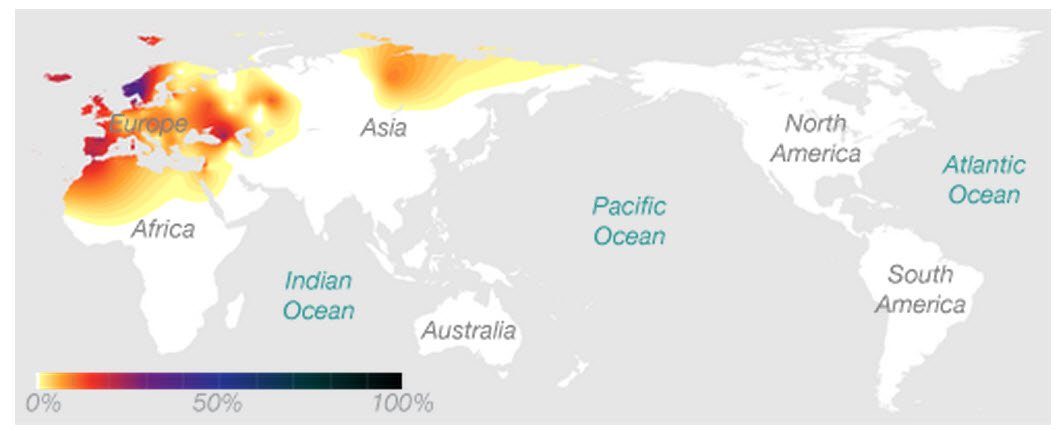 Maternal_Haplogroup_H1a1_Map.jpg