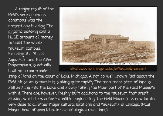 Screenshot_2021-06-01 The Field Museum's Beginnings.jpg