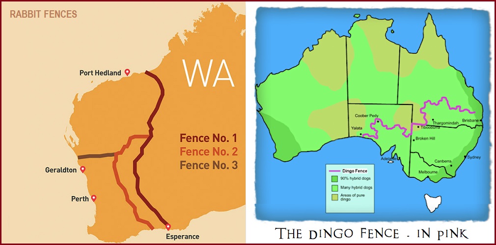 WA-Rabbit-Dingo-fence.jpg